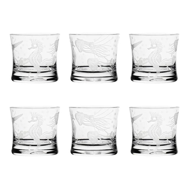 ARTEL Sea Life Frutti di Mare I Rocks Glass in Clear - Set of 6 For Sale