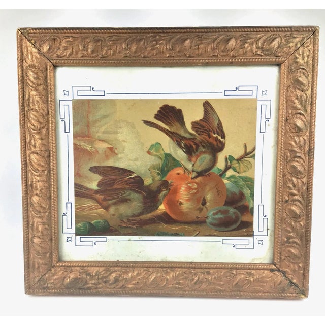 Exquisitely detailed. This scene of 2 birds feeding on fruit and acorns. Dating this painting is difficult with the frame...