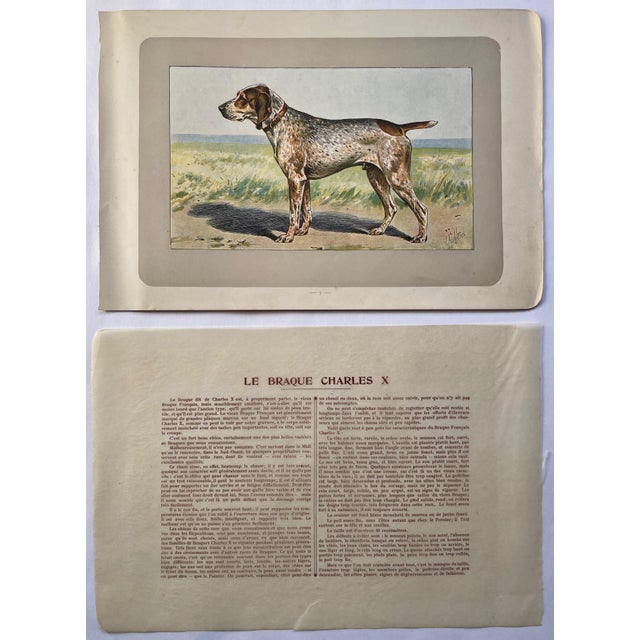 This handsome photogravure printed page is illustrated by P. Mahler, a German artist. The subject is a Le Braque Charles X...