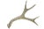 Cabin Natural 4 Point Antler For Sale - Image 3 of 5
