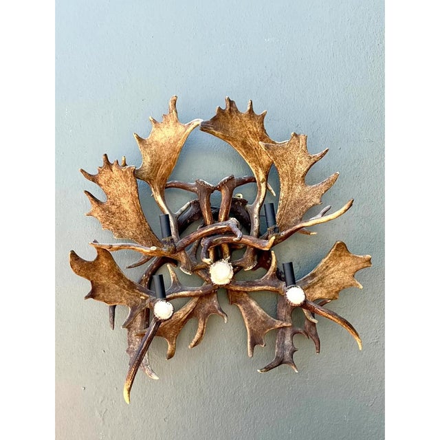 Vintage Monumental Antler and Metal Wall Sconce For Sale - Image 12 of 12