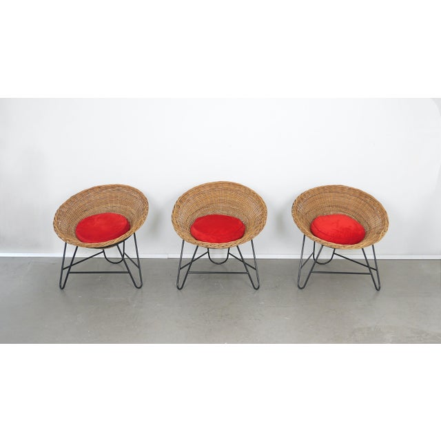 Wicker armchair with a red cushion from the 1950s. The circular seat shell, made of sturdy wicker, rests on a black...