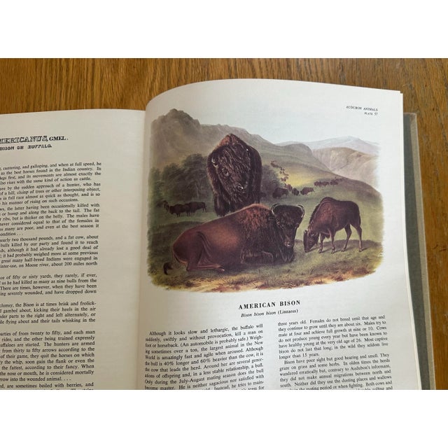 1960s Vintage Audubon Animal Book For Sale - Image 5 of 7