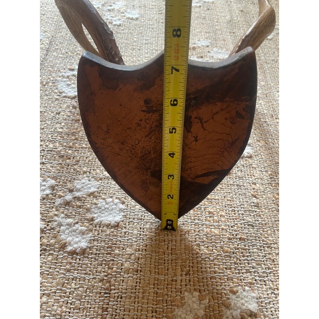 The Vintage Antler Wall Hanging Plaque Mount with Velvet is a unique and stylish addition to any hunting or sporting goods...