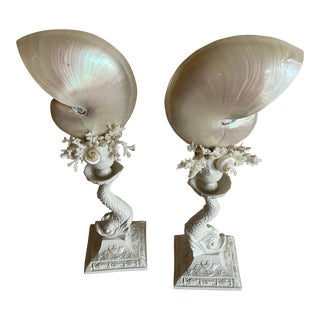 Shelled Dolphins For Sale