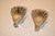 Pair of Signed Sterling Silver Peacock Dishes From Gorham, Circa 1920 For Sale In Greensboro - Image 6 of 12