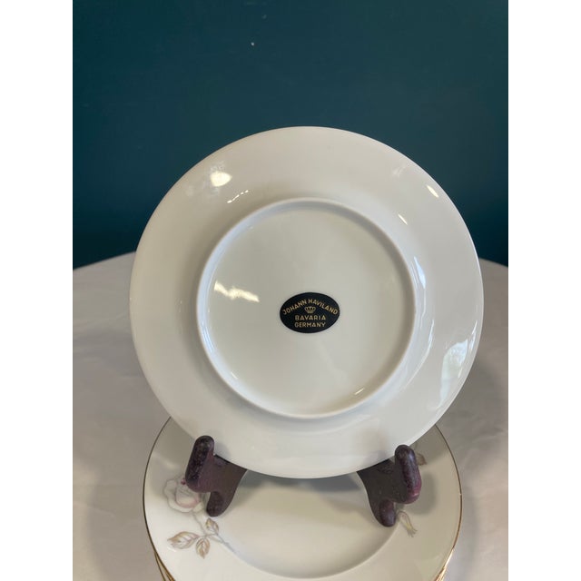 Early 20th Century Johann Haviland Sweetheart Rose Bread Plates- Set of 10 For Sale - Image 9 of 9