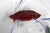 Aquarium Centerpiece by Pino Signoretto For Sale In Naples, FL - Image 6 of 8