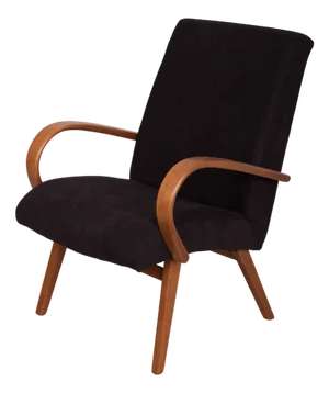 Model 53 Armchair by Jaroslav Smidek for TON, 1960s