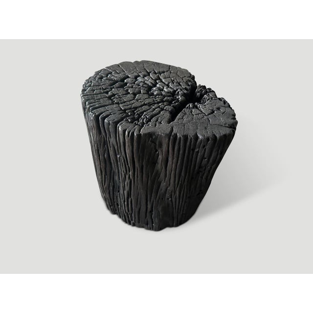 2010s Andrianna Shamaris Iron Wood Charred Side Table or Stool For Sale - Image 5 of 5