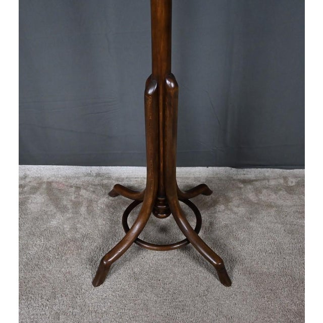 Early 20th Century Parrot Coat Rack in Beechwood, 1890s For Sale - Image 9 of 18