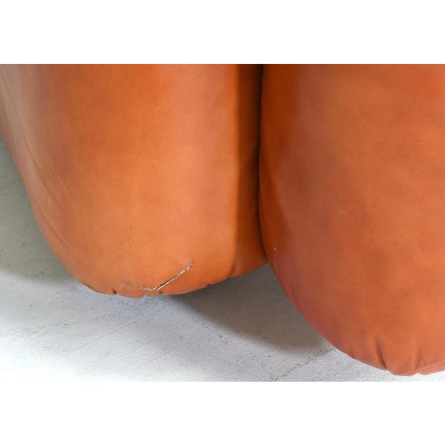 Set of Lounge Armchairs Model Marius & Marius by Mario Marenco attributed to Arflex, Italy, 1970s For Sale - Image 15 of 18