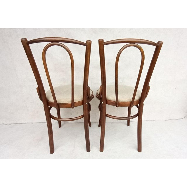 Wood Set of Beech Bentwood Chairs from Tatra, 1960s For Sale - Image 7 of 16