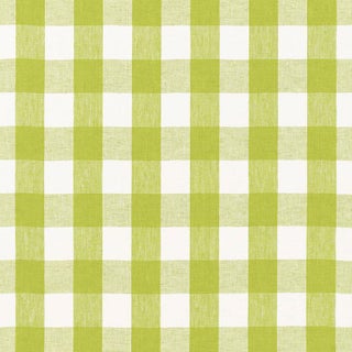 Sample- Schumacher Key West Check Fabric in Lime For Sale