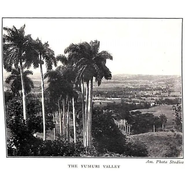 White "When It's Cocktail Time in Cuba" 1928 Woon, Basil For Sale - Image 8 of 11