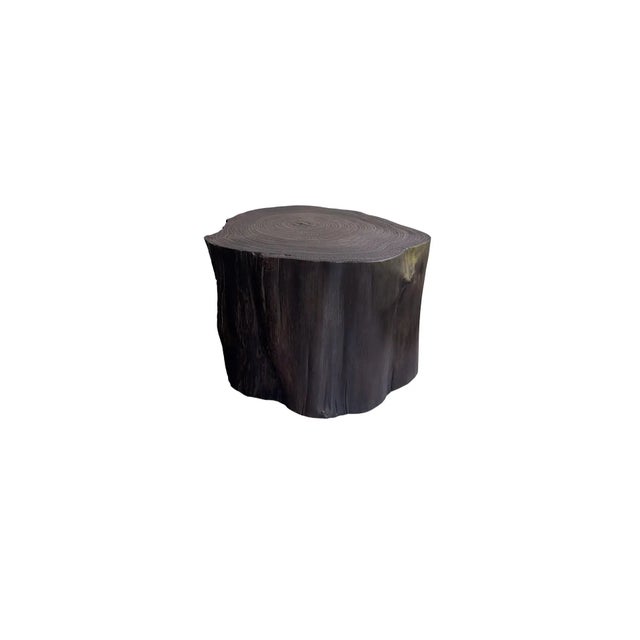 Tree Trunk Side Table Solid Teak Wood Natural Finish Modern Organic For Sale - Image 4 of 6