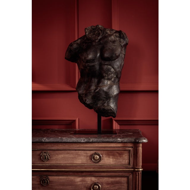 Large Bronze Maximillian Torso from Pure White Lines For Sale - Image 11 of 12