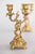 Late 19th Century 19th Century French Rococo Gilt Bronze Dolphin Candelabras - A Pair For Sale - Image 5 of 13