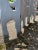 Original 1950s MCM Hand Painted Flamingo Tropical 5 Panel Carved Wood Room Divider For Sale - Image 14 of 14