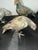 Set of 5 Metal Pigeons in Heavy Metal Possibly Bronze For Sale - Image 10 of 13