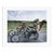 Easy Rider Bike Scene White Framed Archival Pigment Print For Sale