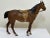 Victorian Early 1900s Victorian Austrian Small Cold Painted Bronze Sculpture Bay Hunter Horse by Franz Bergman For Sale - Image 3 of 13
