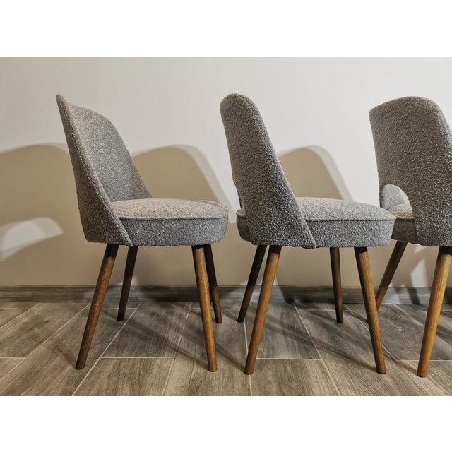 Dining Chairs by Oswald Haerdtl for TON, 1950s, Set of 4 For Sale - Image 6 of 15