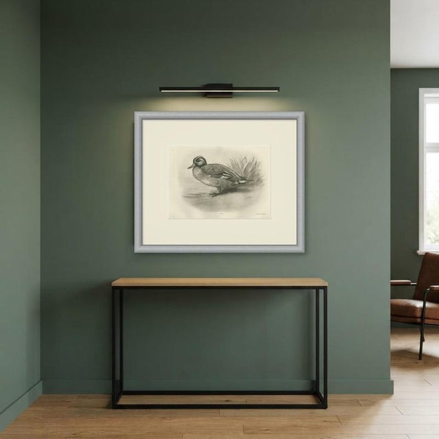 Beige After Lilian Medland, Garganey, 1909, Print For Sale - Image 8 of 9