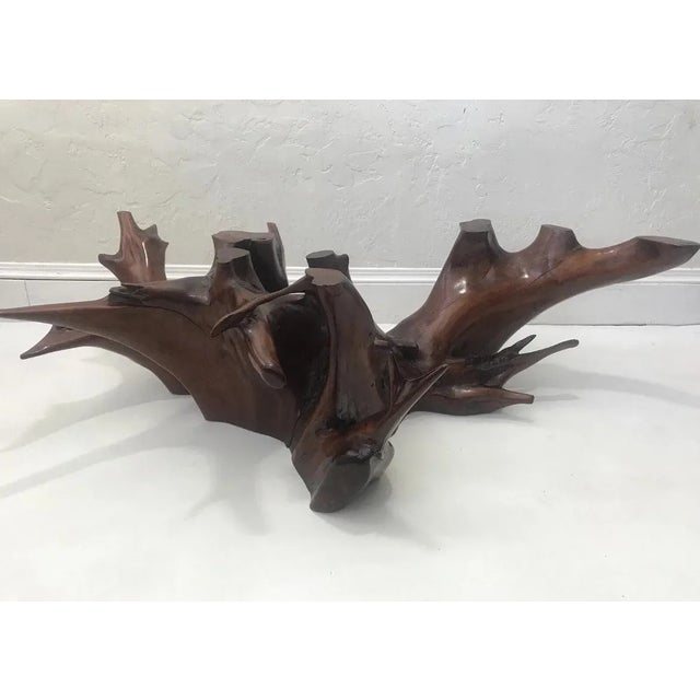 Mid Century Spanish Walnut Root Glass Top Coffee Table For Sale - Image 13 of 15