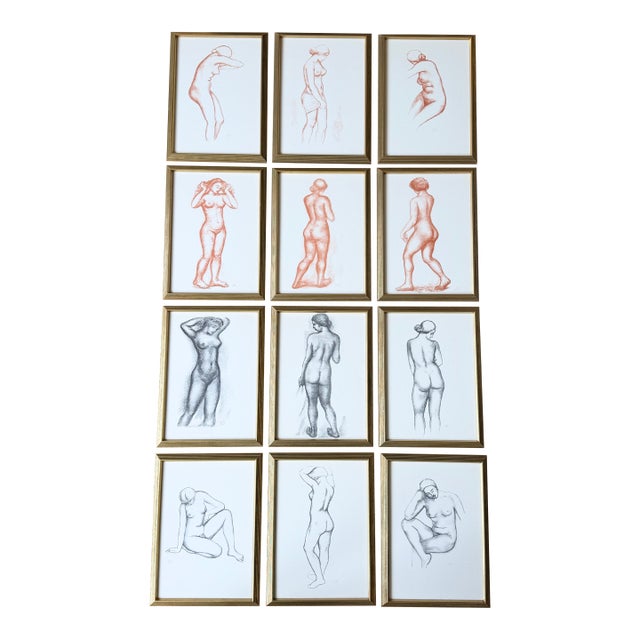 Mid 20th Century Suite of Twelve Aristide Maillol Lithographs For Sale