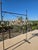 Glass Rock Crystal Organic Branch Style Chandelier With Gold Finish and Adjustable Height For Sale - Image 7 of 14
