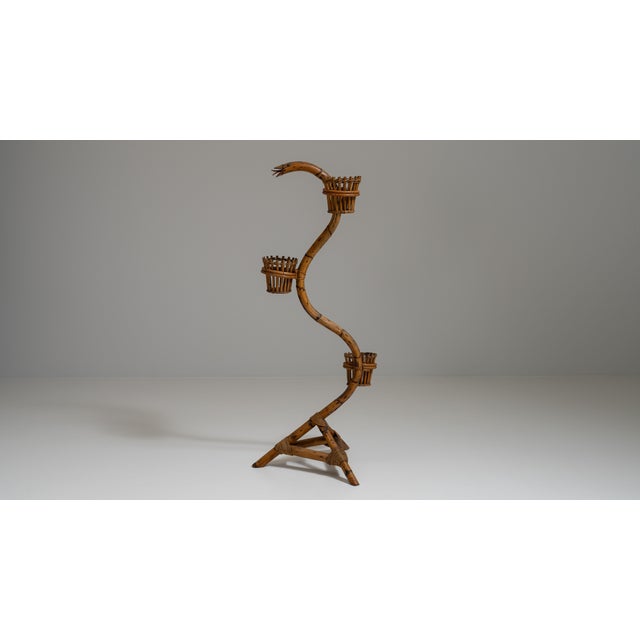 Mid-Century Modern 1960s French Amber Bamboo And Rattan Snake Plant Stand For Sale - Image 3 of 15