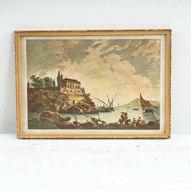 G. Cristini, Marine Life, Print For Sale - Image 5 of 5