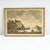 G. Cristini, Marine Life, Print For Sale - Image 5 of 5