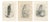 Stonham, British Harrier Bird, 1908, Lithographs, Set of 2 For Sale