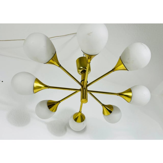 Mid-Century Modern Brass Chandelier from Kaiser Leuchten, 1960s For Sale - Image 4 of 11