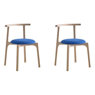 Set of Carlo Chairs by Pepe Albargues For Sale