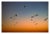 "Pattern" Contemporary Coastal Scene Gradient Photograph - 40x60 For Sale