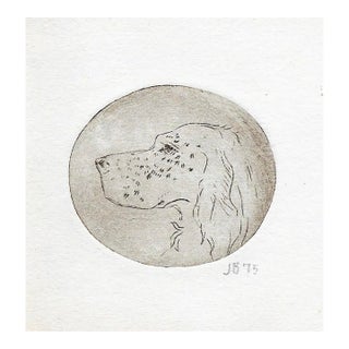 1975 Dog Etching by John Bradley For Sale