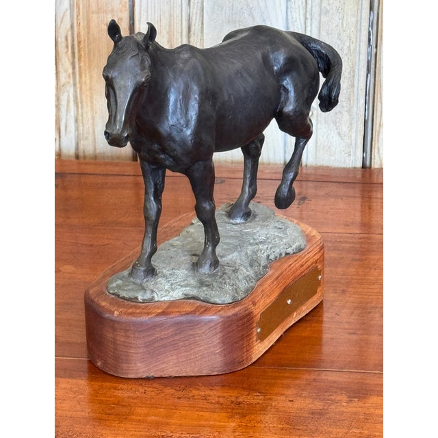 Mid 20th Century "Cody" Bronze Horse Sculpture by Tara Brice For Sale - Image 4 of 7