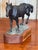 Mid 20th Century "Cody" Bronze Horse Sculpture by Tara Brice For Sale - Image 4 of 7
