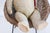 Antique American Teddy Bears with Ribbons Sitting in Wicker Chairs, Priced Each For Sale - Image 4 of 15