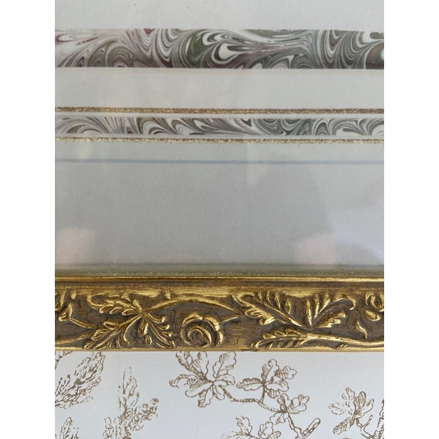 Lady Loudon Flowers -Taken from the publication “Ladies Flowers” Garden of Ornamental Bulbous Plants. Mrs. Loudon...