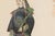 Cream Pair Chelsea House Finely Framed Chinese Court Figures in Collage on Paper For Sale - Image 8 of 16