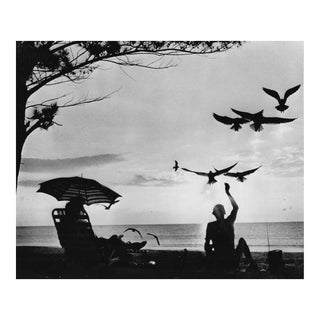 1973 Beachgoers Feeding Seagulls at Dusk Black & White Photograph For Sale