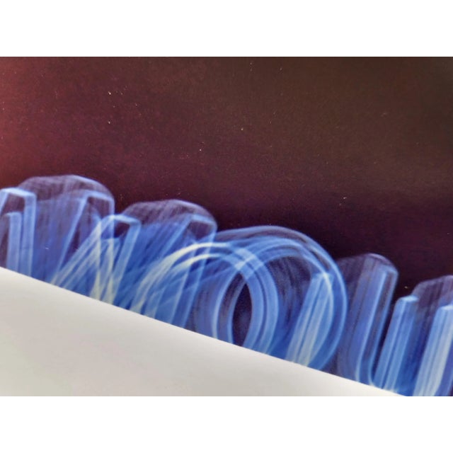 Apesteguy, Le Moulin Rouge, 2000s, Photographic Paper For Sale - Image 5 of 8