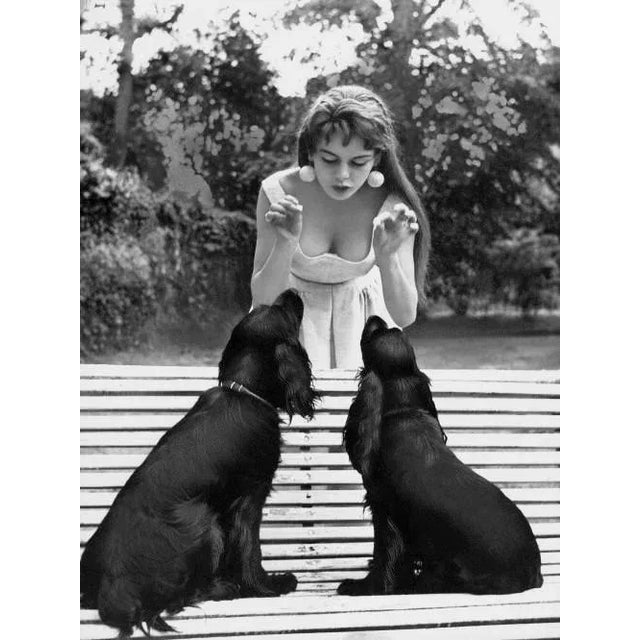 Brigitte Bardot and Her Dogs Archival Pigment Print For Sale