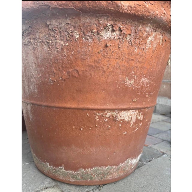 Large Vintage Italian Style Terracotta Garden Planter With Aged Patina For Sale In Los Angeles - Image 6 of 10