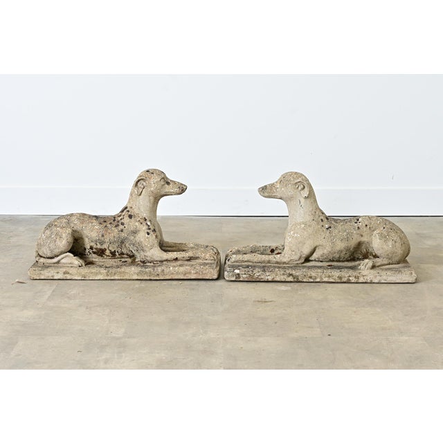 Early 20th Century English Pair of Cast Stone Whippet Garden Statues For Sale - Image 9 of 12