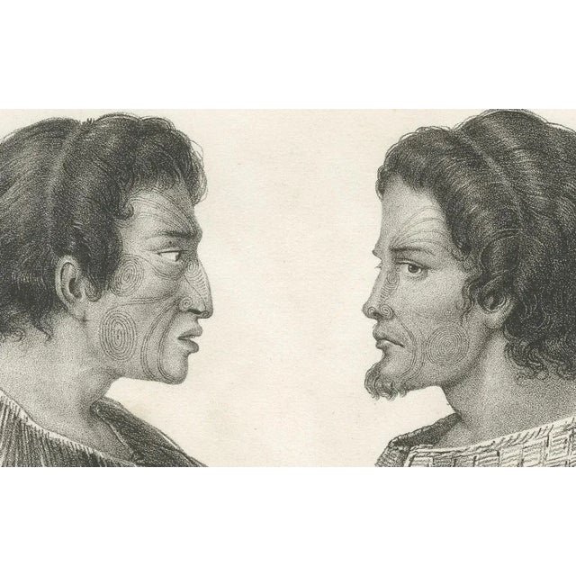 Dumont d’Urville, Portraits of Maori Life and Tattoo Art in New Zealand, 1836, Print For Sale - Image 6 of 7